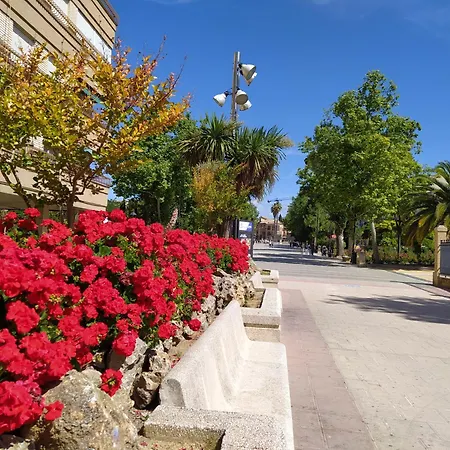Alamos * Alcala La Real